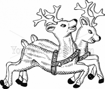 illustration - reindeer20-png
